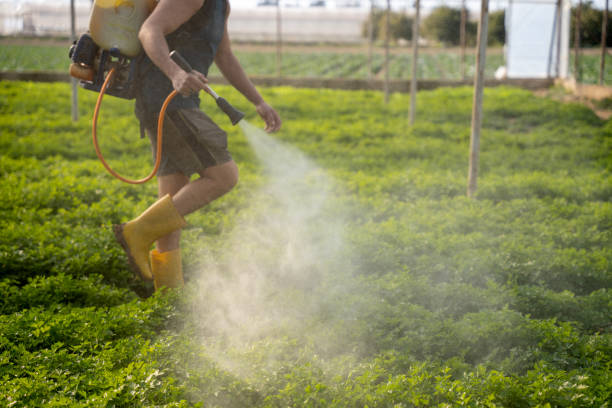Reliable Frisco City, AL Pest Control Solutions